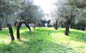 Villa Alpi Apuane  |  -  - 