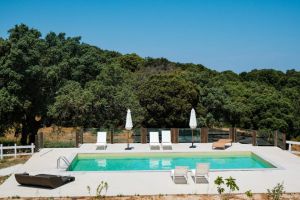 Podere Luogosanto |  -  - 