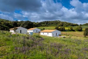 Podere Luogosanto |  -  - 