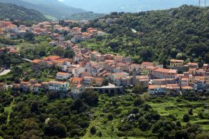 Podere Luogosanto |  -  - 