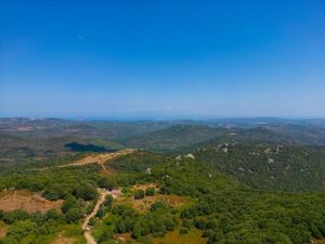 Podere Luogosanto |  -  - 