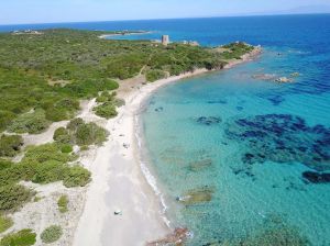 Podere Luogosanto |  -  - 