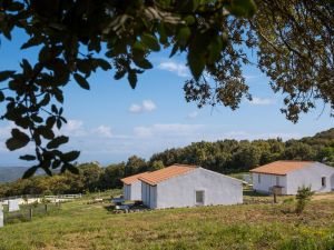 Podere Luogosanto |  -  - 