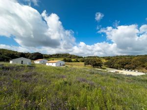 Podere Luogosanto |  -  - 