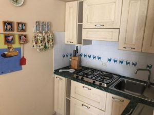 Appartamento Country |  -  - 