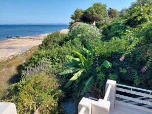 La Regina dell' Isola |  -  - 