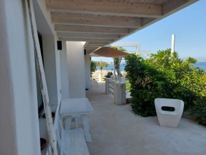 La Regina dell' Isola |  -  - 