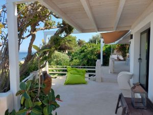 La Regina dell' Isola |  -  - 