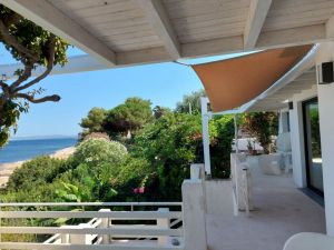 La Regina dell' Isola |  -  - 
