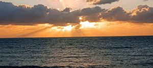 La Regina dell' Isola |  -  - 