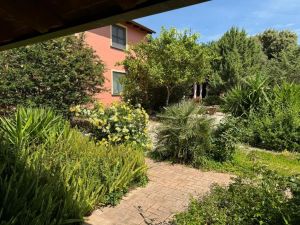 Agriturismo San Vero Milis |  -  - 