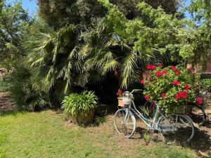 Agriturismo San Vero Milis |  -  - 