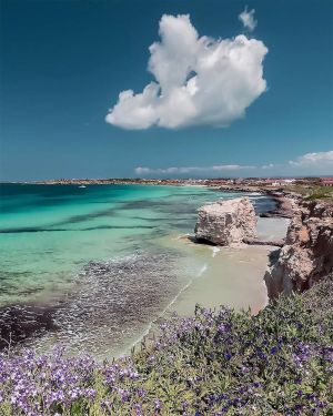 Agriturismo San Vero Milis |  -  - 