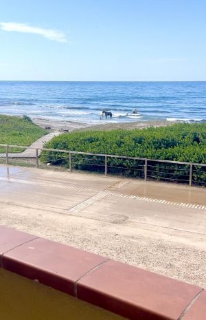 Appartamento Fronte Mare  |  -  - 