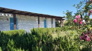 Tutta Colpa del Paradiso in Sardegna |  -  - 
