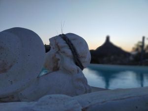 Tutta Colpa del Paradiso in Sardegna |  -  - 