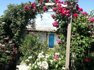 Tutta Colpa del Paradiso in Sardegna |  -  - 