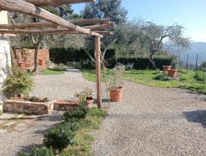 Antico Casale Collicello  |  -  - 
