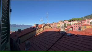 La Casa Saracena |  -  - 