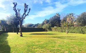 Villetta Puccini |  -  - 