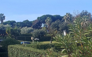 Villetta Puccini |  -  - 