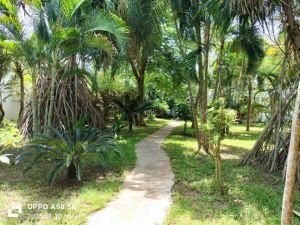 Sogno Amani Beach Resort |  -  - 