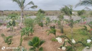 Villa Mayungo |  -  - 