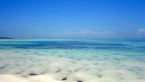 Villa Mayungo |  -  - 