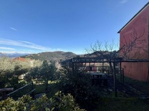 L' Antica Casetta di Campiglia |  -  - 