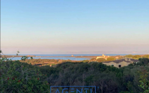 La Villa dei Fenicotteri |  -  - 