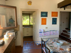 La Villa dei Fenicotteri |  -  - 
