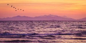 Appartamento Fronte Mare di Follonica |  -  - 