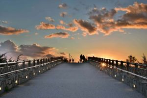 Villa il Sole a Marina di Pietrasanta |  -  - 