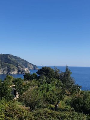 Attico il Cielo di Corniglia |  -  - 