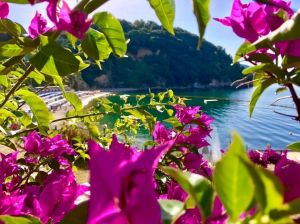 Blue Cove in Baia Blu  |  -  - 