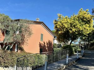 Una Gemma Turchese in Baia Blu |  -  - 