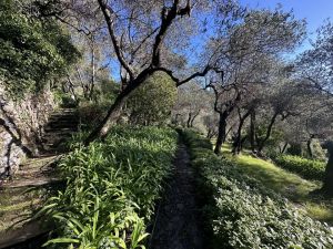 Antico Casale Portofino |  -  - 