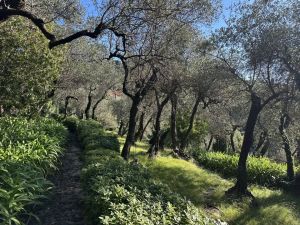 Antico Casale Portofino |  -  - 