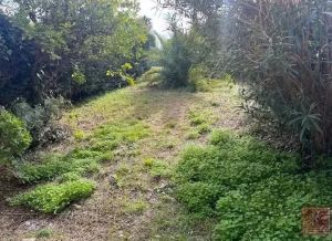 Appartamento Jardins Blue |  -  - 