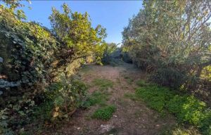 Appartamento Jardins Blue |  -  - 