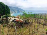 Antico Rustico Corniglia | Vernazza & Corniglia - Landhäuser & Rustikale Anwesen - 5 Terre