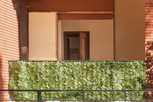 Fronte Mare a Portovenere |  -  - 