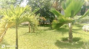 Villa Karibu |  -  - 
