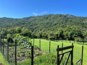 La Tenuta Val di Vara |  -  - 