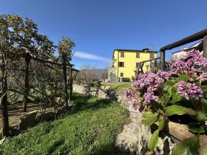 La Tenuta Val di Vara |  -  - 