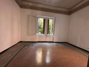 Oasi in Centro Chiavari |  -  - 