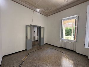 Oasi in Centro Chiavari |  -  - 