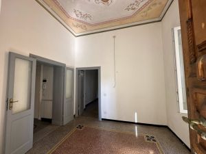 Oasi in Centro Chiavari |  -  - 