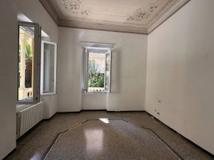 Oasi in Centro Chiavari |  -  - 