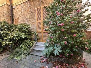 Oasi in Centro Chiavari |  -  - 